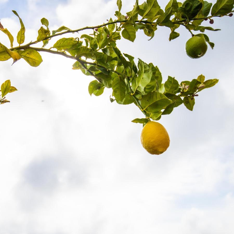 Appartamento Casa Laranja, Aromas Burgau Esterno foto